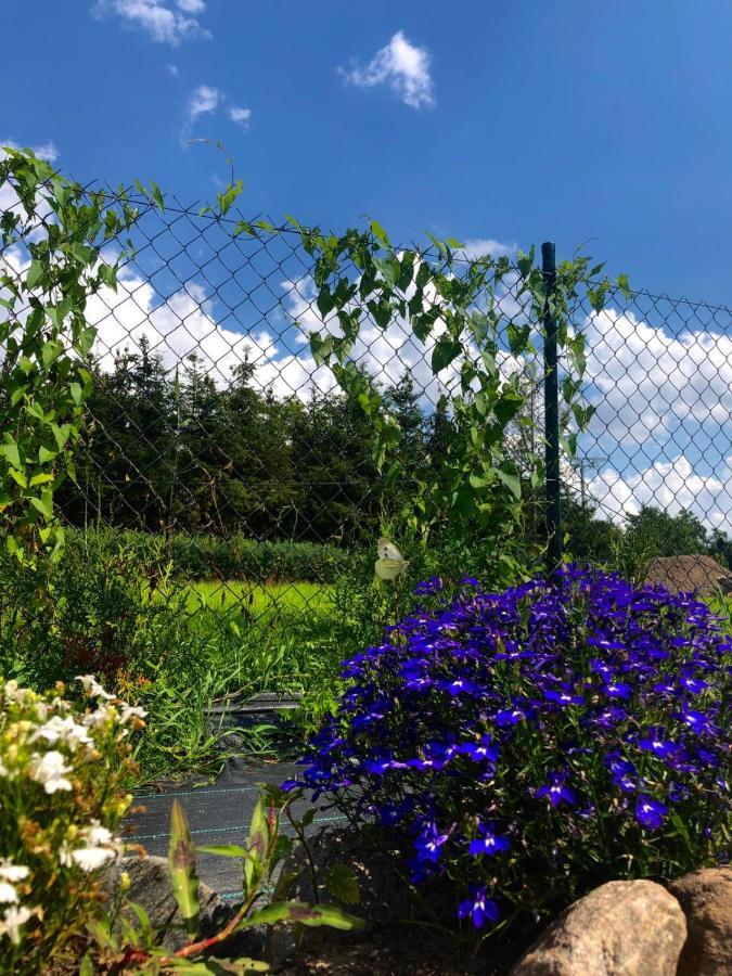 Dom Nad Morzem Ludwikowo Villa Skrzeszewo  Exteriör bild